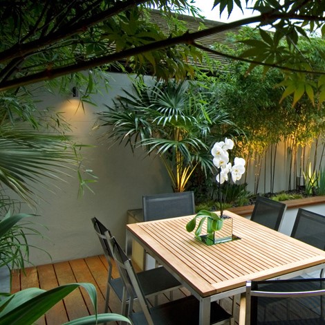 simple tropical gardens