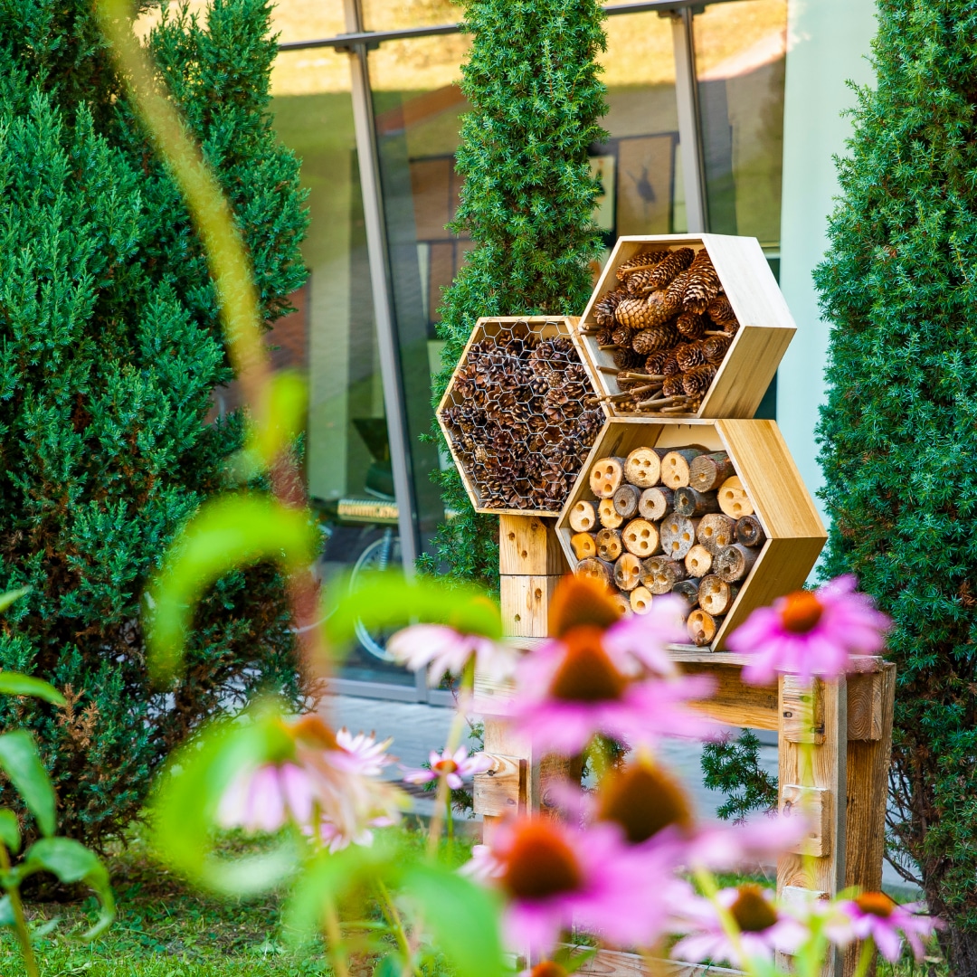 8 Ways To Design A Wildlife-friendly Garden - National Design Academy