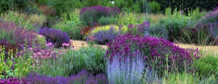 Theme of the Month: Garden Design Matrix Planting Ideas - National