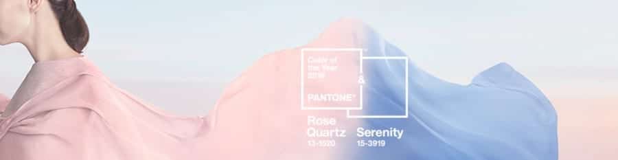 pantone colour of the year banner